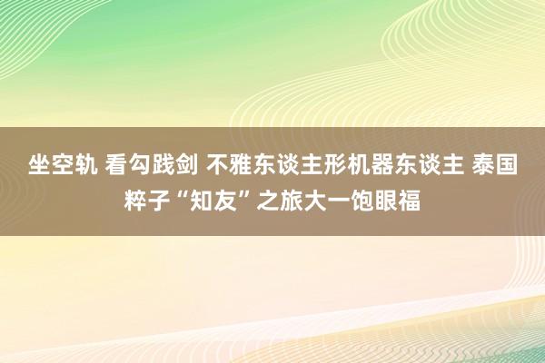 坐空轨 看勾践剑 不雅东谈主形机器东谈主 泰国粹子“知友”之旅大一饱眼福